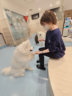 みれい「今年もあと少し！」