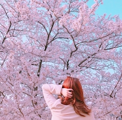 プロフィール写真1・ひかる|Happy Snack Seven・スナック・セブン - 田原のスナック