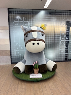 まゆ