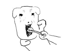 える