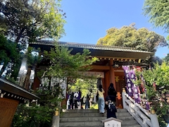 💜めい💜