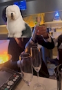 chiko