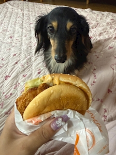 さら
