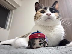 ふう