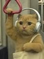 れんいち