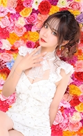 🫧💞🍭🎀🧸百合花🧸🎀🍭💞🫧