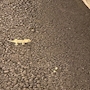 新着ブログ 皆々様お疲れ様です