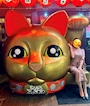 chiko