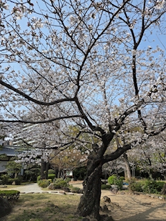 真未～ℳ𝒶𝓃𝒶𝓂𝒾 ～