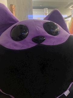 セシルﾝるんるんるん🤌🏼「✨出勤✨」