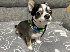 由加里「出勤です🥰」