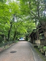 新着ブログ 紫陽花探索2️⃣3年越しにいけた