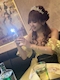 プロフィール写真2・るみ|New club Hearts・ハーツ - 神栖のキャバクラ