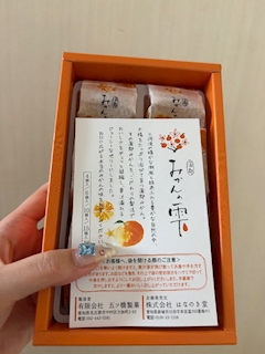 湊崎 さな