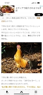 chiko