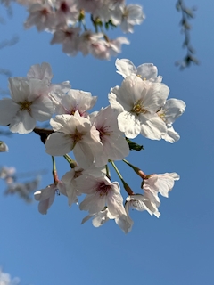 きょうちゃん-Lounge Moon🌙-