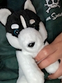 chiko