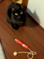 chiko