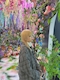プロフィール写真24・びぃにゃ🐝神楽坂honey｜Girl's bar honey・ハニー - 神楽坂・飯田橋のガールズバー