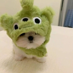 プロフィール写真1・まり｜GIRL'S BAR コスプレアカデミー・コスプレアカデミー - 蒲田西口のガールズバー