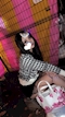 プロフィール写真1・あいな|Bar Lady bug・レディバグ - 成田のガールズバー