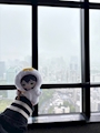 新着ブログ 東京タワー♦️