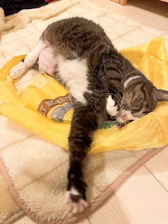 まお「🧶🧶🧶」