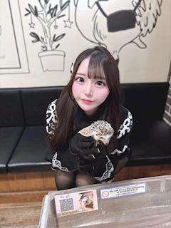 プロフィール写真8・てる🧸🎀ちいかわ最強｜Cafe＆Bar Doll's Cafe・ドールズカフェ - 池袋西口のコンカフェ