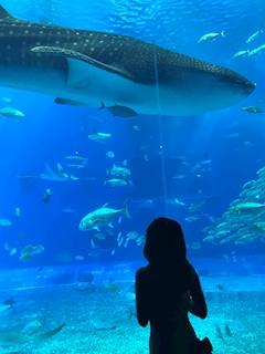 プロフィール写真6・なな｜OURO・オーロ - 広島市（流川）のラウンジ/クラブ