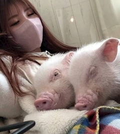 ゆき