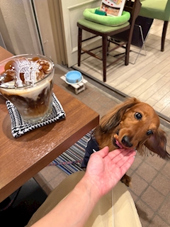 りん