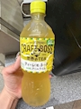 新着ブログ じめじめした日ですね