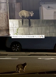 なる
