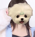 なる