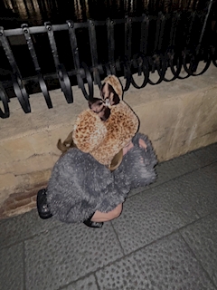 プロフィール写真1・こころ｜Jewelry Girls 稲毛店・ジュエリーガールズ - 稲毛のガールズバー