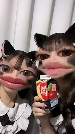 しぐま「ふたたび」
