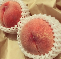 にぼし「🍛🐟🍛」