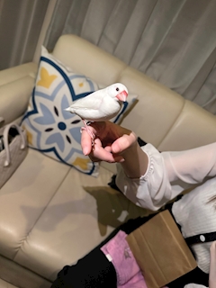 水樹　りょう「2025/3/17 出勤👗」