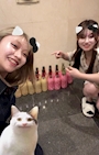 chiko