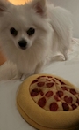 chiko