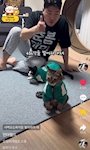 chiko
