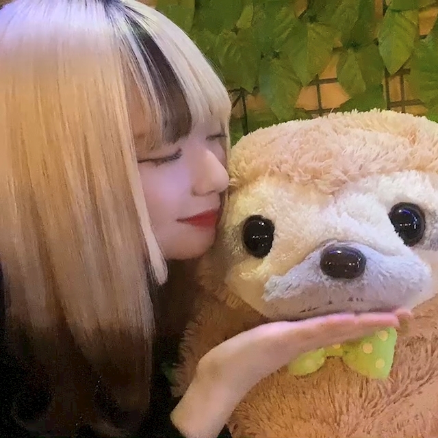 プロフィール写真5・リズ【朝昼ふくろう】｜