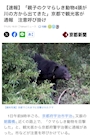 新着ブログ ソレハ クマッタ…( ̄(工) ̄;)