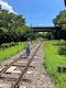 プロフィール写真1・たまき🍾Bar Lounge 莉音｜Bar Lounge 莉音・バーラウンジリオン - 彦根のラウンジ/クラブ