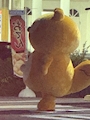 chiko