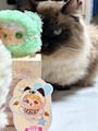 chiko