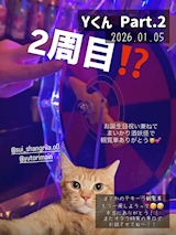 Yくん🟪お誕生日テキ観2週目ありがとう🥹✨