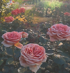 プロフィール写真2・きら｜CLUB FELIX・クラブフェリクス - 長野市のキャバクラ