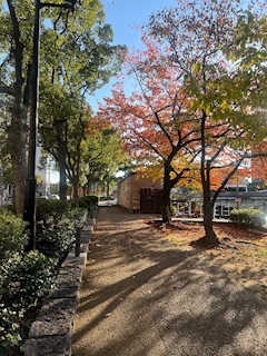 暁ありさ「🫀🫀🫀」