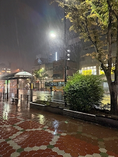 しゅうか